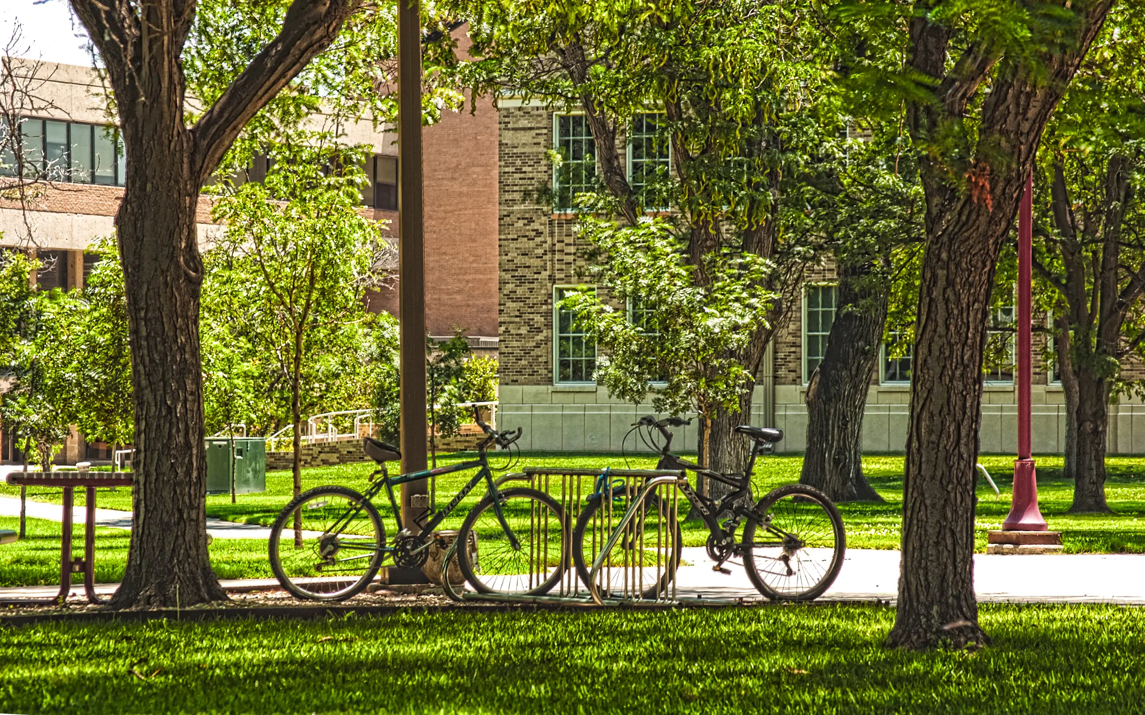 Making Every First-Time Guest Feel Like a Local in Brevard County